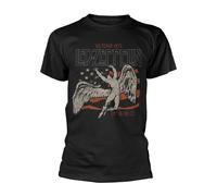 LED ZEPPELIN - US 1975 TOUR FLAG BLACK T-Shirt Small