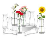 Ledebouk Set di Piccoli Vaso, 12 Pezzi Vaso di Fiori Piccolo, Design aderente alla vita, Trasparente, per Composizioni Floreali, Centrotavola, Fai da te