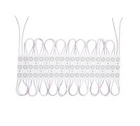 LEDKIA Modulo LED 20 Pezzi 22W IP65 24V DC per Insegne Pubblicitarie 2.5m 4