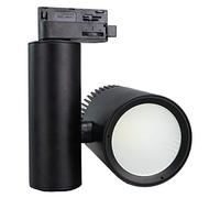 Faro Lampada Led A Binario 30W Trifase CCT CRI 90 Carcassa Nera 2700K 4000K