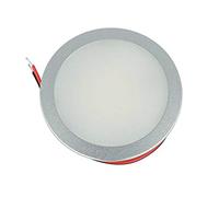 LEDLUX Mini Faretto Led Da Incasso Rotondo 5W AC/DC 12V DC 24V Foro 60mm Dimmerabile PWM (Alluminio Satinato, 3000K)