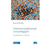 L'educatore professionale socio-pedagogico. La formazione e il lavoro