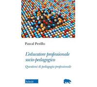 L'educatore professionale socio-pedagogico. Questioni di pedagogia professionale