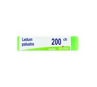 Ledum palustre 200 CH Dose Unica globuli