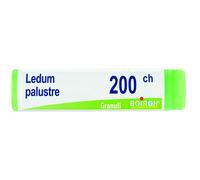 Ledum Palustre 200Ch Globuli