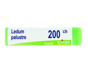 Ledum Palustre 200Ch Globuli