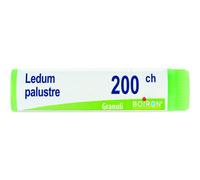 Ledum Palustre 200Ch Globuli