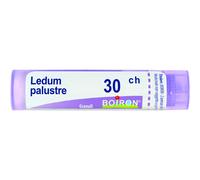 Ledum Palustre 30 Ch Granuli