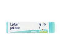 Ledum Palustre 7 Ch Dose 2020