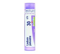 LEDUM PALUSTRE BOI*30CH 80GR4G