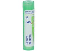 LEDUM PALUSTRE BOI*5CH 80GR 4G