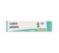 Boiron – Globuli omeopatici – Ledum Palustre 5CH – 1 g – contenitore monodose