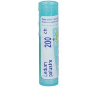 Boiron Ledum Palustre 200CH Medicinale Omeopatico, 80 granuli