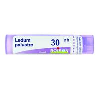 Boiron Ledum Palustre 30CH Medicinale Omeopatico, 4g