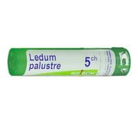 Ledum Palustre 5CH Boiron 80 Granuli 4g