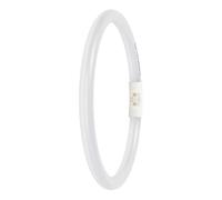 LEDVANCE Tubo LED T5, 2GX13, 11,6 W, 4000 K, bianco freddo, 1700 lm, 225 mm, dimmerabile