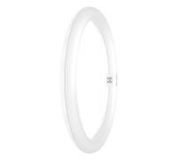 LEDVANCE Tubo LED T9 Value Circolare (EM/Mains) 18.3W 2200lm - 840 Bianco Freddo | Sostitutiva 32W