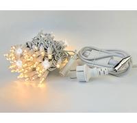 LEDZEIT - Profi Serie - Catena luminosa di base a LED, con cavo di alimentazione, 10m, 100 LED bianco caldo, un lampeggio ogni 10, esterno e interno, sistema professionale, resistente alle intemperie