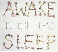 Awake Is the New Sleep - Ben Lee (Audio CD)