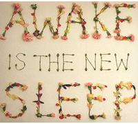 Ben Lee Awake Is the New Sleep (CD) Album
