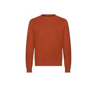 Lee Clean Raglan - Maglione da Uomo, Acero Dolce, M