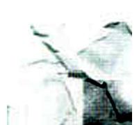 Lee, Jeffrey Ethan - Identity Papers