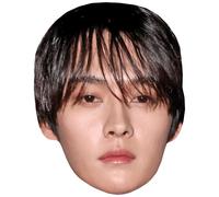 Lee Know (Fringe) Big Head