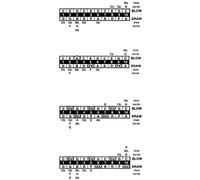 Lee Oskar 797004.0 Armonica A Bocca, Reb Maggiore