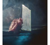 Ranaldo Lee - In Virus Times (Colured Vinyl)