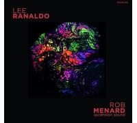 Lee Ranaldo/Rob Menard Split Release