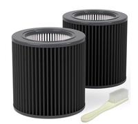 Leemone Confezione da 2 filtri H13 True PECO-HEPA di ricambio per Molekule Air Mini e Air Mini + purificatori d'aria, ad alta efficienza, pulisce aria di fumo, COV, polvere e altri inquinanti