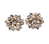 LeeQinersw 2 Pezzi di Fermagli per Scarpe con Strass, Decorazioni per Gioielli, Diamanti per Spille, Accessori per Capelli Piatti, Accessori Artigianali Fai Da T, Marrone