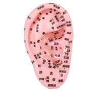 LeeQinersw ACUPOINT ORESSO UMANO, ASSUGGIO di INDIGNORE, MODELLO AURICOLARE STRUMENTO di PRATICA di MASSAGGIO per LA PRATICA ACUPOINT DEMPREAZIONE