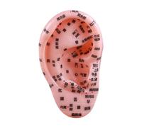 LeeQinersw ACUPOINT ORESSO UMANO, PROFESSIONE STRUMENTO di PRATICA di MASSAGGIO con I PUNTI ACUPOINT, MODELLO di INSEGNO DELL'APPOSTAZIONE DELL'APPRESSIONE