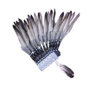 LeeQinersw Capo Cappello Indian Feather Wastorwwear per la Festa dello Spettacolo, Piuma Grigia