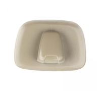 LeeQinersw Gancio Da Soffitto per Interni Auto per Appendere Vestiti E Accessori, Gancio Da Soffitto Multifunzionale in PP Resistente per Risparmiare Spazio, Ada, 2 pezzi