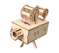 LeeQinersw Progetti Scientifici Puzzle 3D Sviluppa Intelligenza Fai da Te Artigianato Costruzione