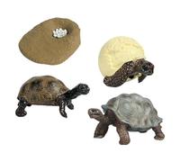 LeeQinersw Set di Gioco sul Ciclo Vitale Delle Tartarughe, con Figure Che Rappresentano Il Ciclo di Crescita. Giocattolo Educativo per L'osservazione Del Cic, tartaruga, Taglia unica
