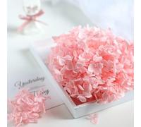 LEEYOX 15 g/Borsa Ortensia Fiore Secco Pianta Naturale Conservato Foglie di Fiori Freschi per Artigianato Fai da Te Decorazione Fiori Eterni Materiale