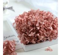 LEEYOX 15 g/Borsa Ortensia Fiore Secco Pianta Naturale Conservato Foglie di Fiori Freschi per Artigianato Fai da Te Decorazione Fiori Eterni Materiale