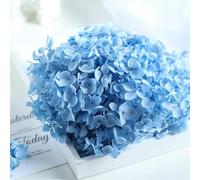 LEEYOX 15 g/Borsa Ortensia Fiore Secco Pianta Naturale Conservato Foglie di Fiori Freschi per Artigianato Fai da Te Decorazione Fiori Eterni Materiale