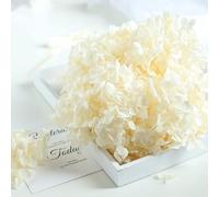 LEEYOX 15 g/Borsa Ortensia Fiore Secco Pianta Naturale Conservato Foglie di Fiori Freschi per Artigianato Fai da Te Decorazione Fiori Eterni Materiale