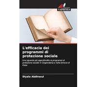 L'efficacia dei programmi di protezione sociale: Uno sguardo più approfondito ai programmi di protezione sociale in Cisgiordania e nella Striscia di Gaza
