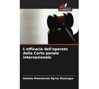 L'efficacia dell'operato della Corte penale internazionale