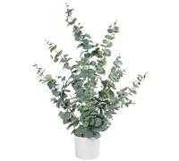 Leflos 90 cm Albero di Eucalipto artificiale, pianta di eucalipto artificiale con 385 foglie di dollaro d'argento, adatta per la tavola e la decorazione di interni
