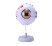 Leftwei Modello Anatomico Dell'occhio Umano, Ingrandimento 6X, Staccabile | Costruzione in PVC, Dimostrazione in pprendimento degli Studenti, Strumento Didattico di Optometria, Facile