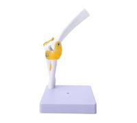 Leftwei Modello Funzionale Dell'articolazione del Gomito, Legamenti Mobili, | Plastica, Anatomia in ormazione Clinica, Base Rimovibile, Compatibile con gli Studenti, Modello di Visualizzazione