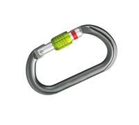 Lega di alluminio 25KN D Forma Moschettone Backpacking Arrampicata Fibbie Con Portone Vite Per Sport Arrampicata Sicuro E Avventura Vite Moschettone