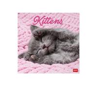 Legami - Calendario 2027 da Muro, Kittens, 12 Mesi, 30 x 29 cm