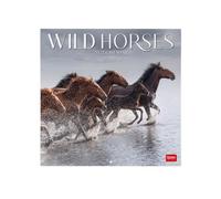 Legami - Calendario 2027 da Muro, Wild Horses, 12 Mesi, 30 x 29 cm